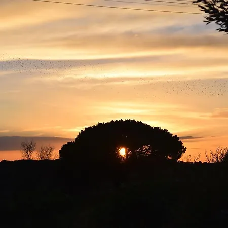 Kolymbetra 3* Agrigento